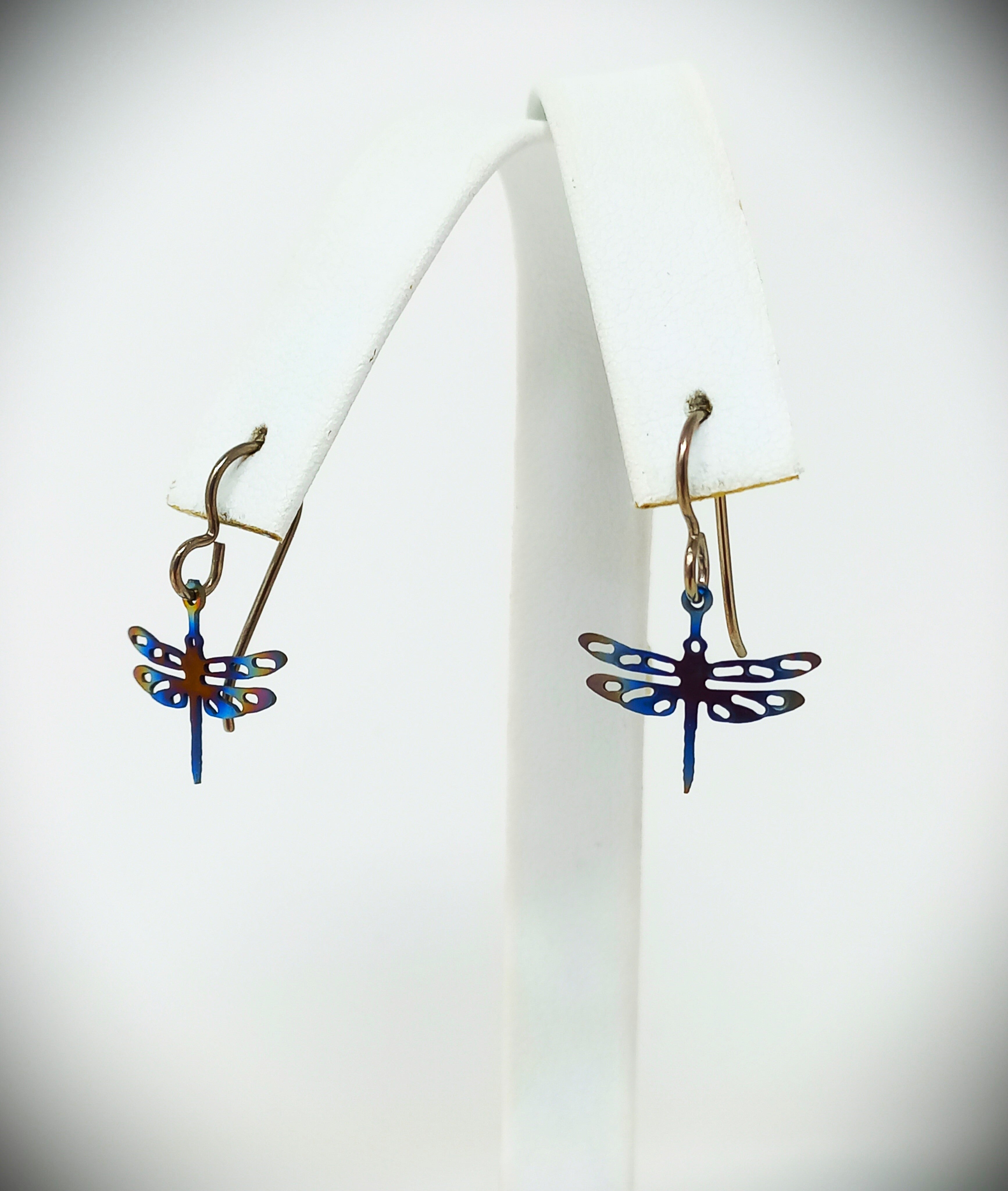 Titanium Earrings (Small) by Dieter Moenig