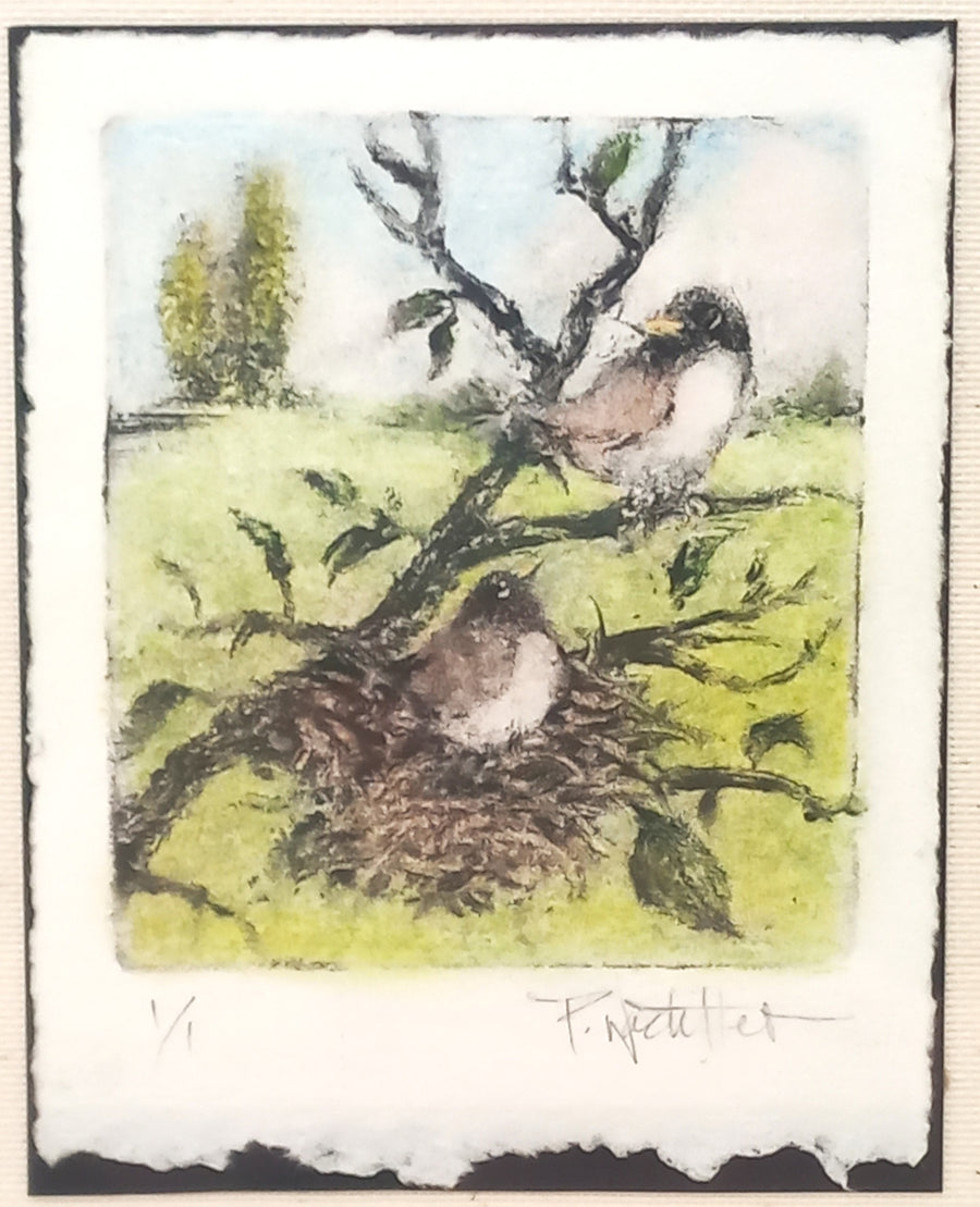 Spring Has Sprung by Pamela Wachtler