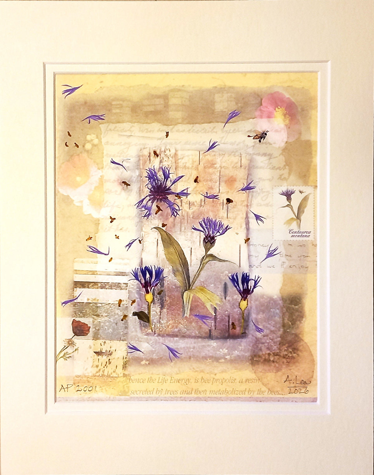 Spring Letters