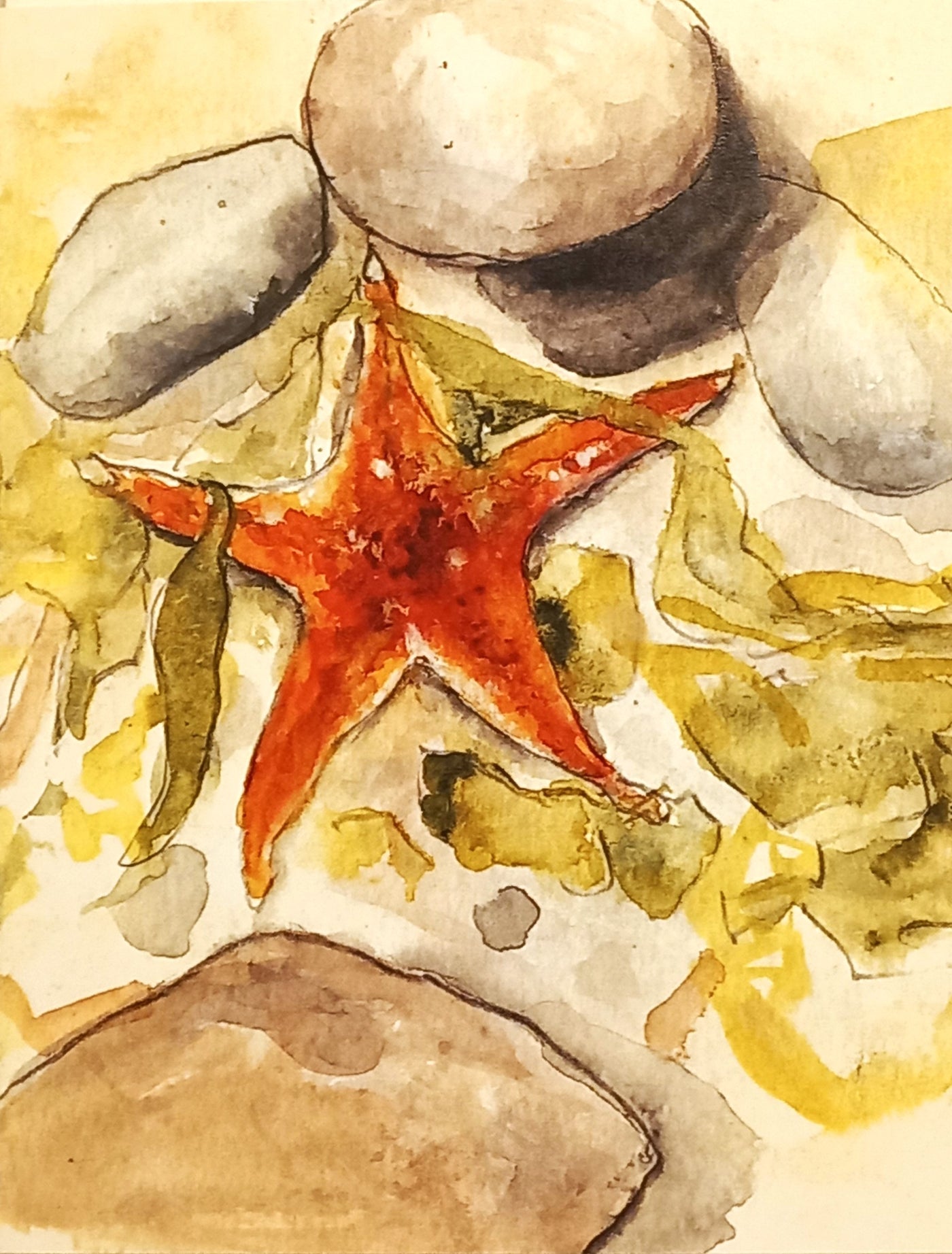 Art Cards by Mary Jo Davis