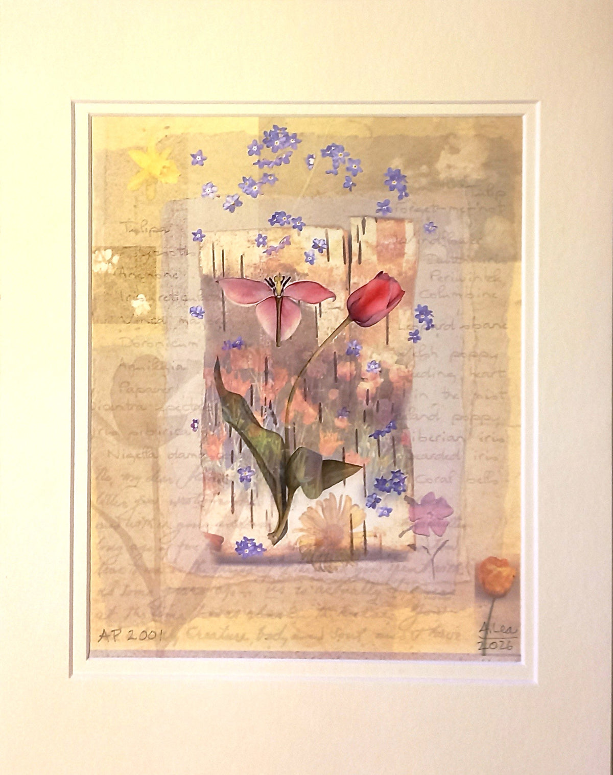 Summer Letters