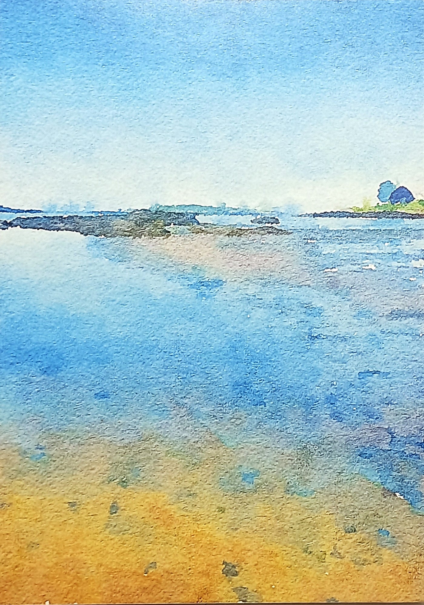 Tidepool 5x7 Print by Rosette Gault