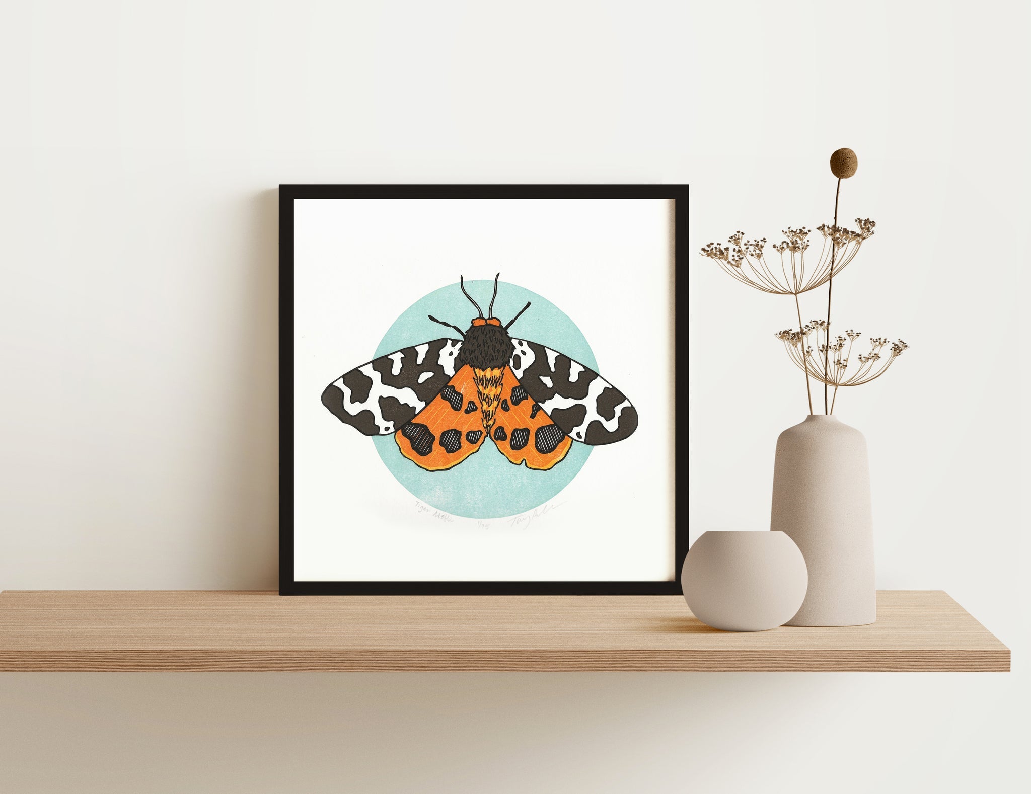 Tiger Moth