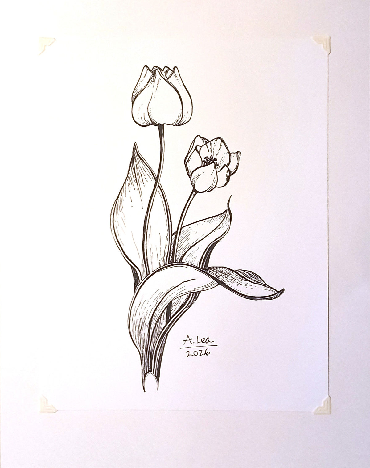 Tulip Couple B&W Print