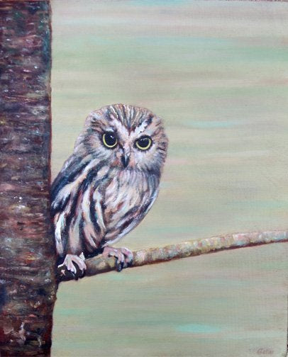 Framed Mini Prints by Carrie Goller