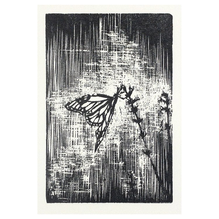 "White Butterfly" Print by Nikki Jabbora-Barber