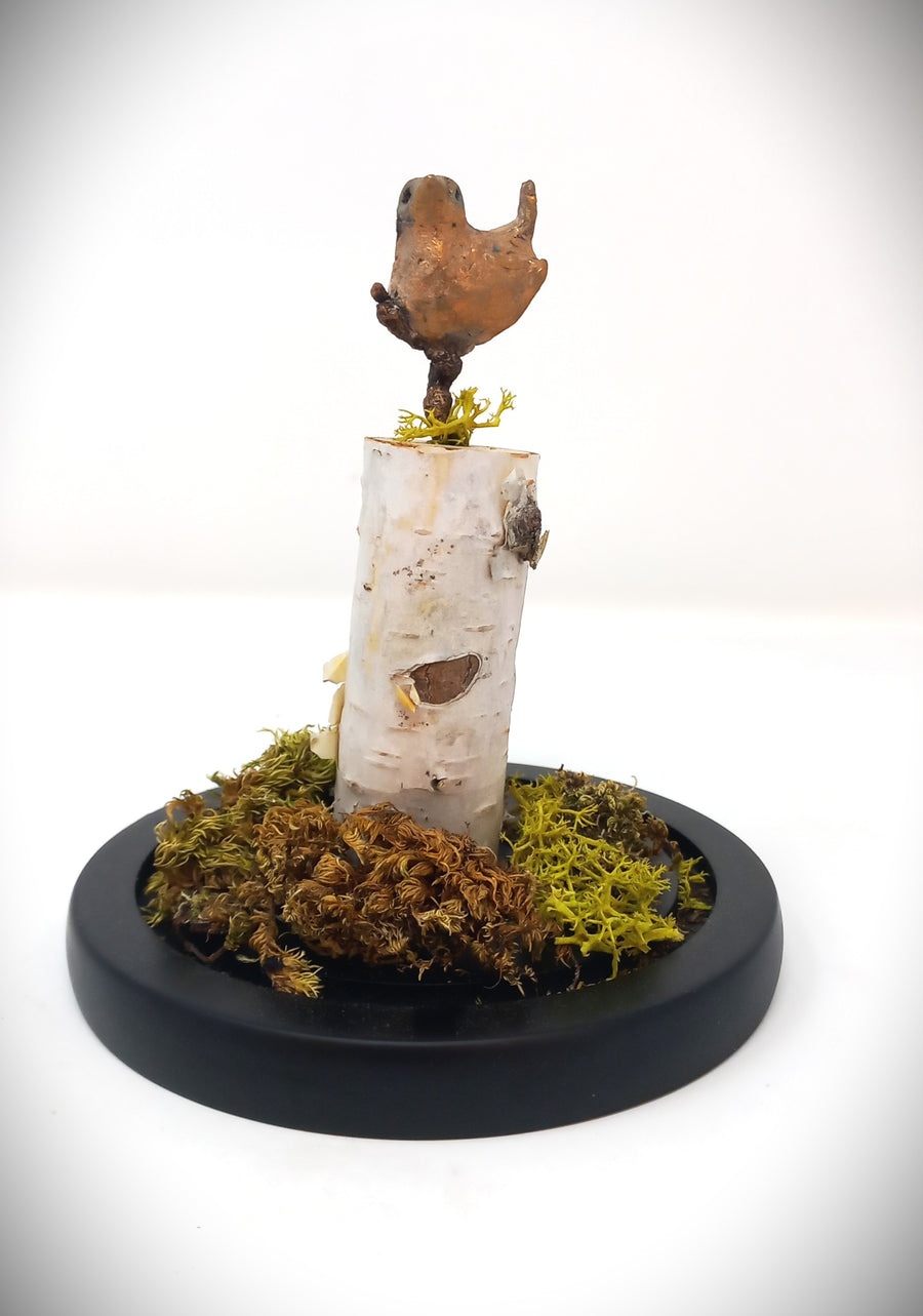 Wren Perching by Pamela Wachtler