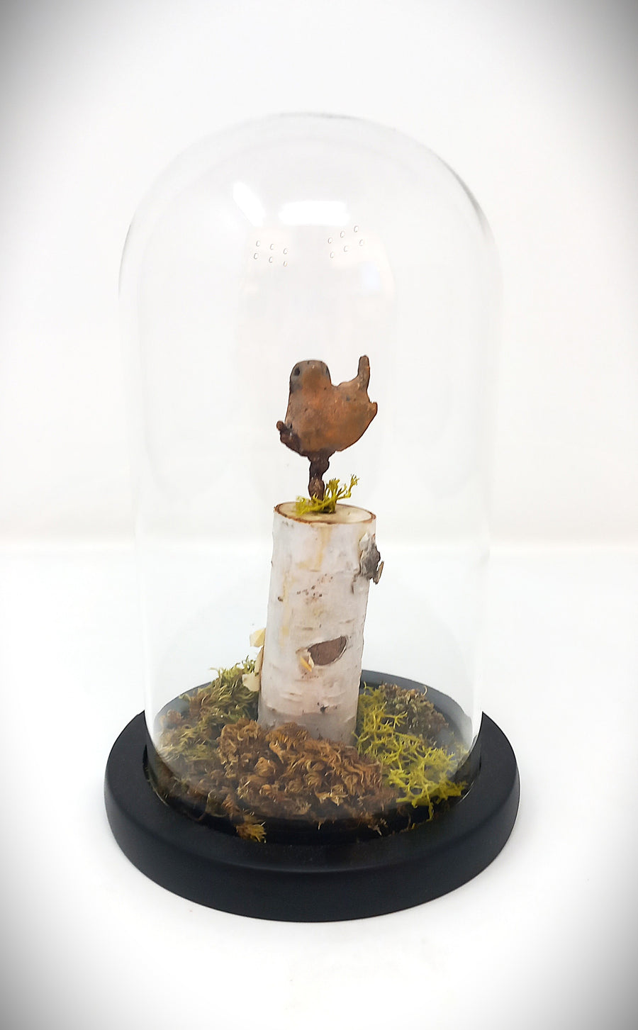 Wren Perching by Pamela Wachtler