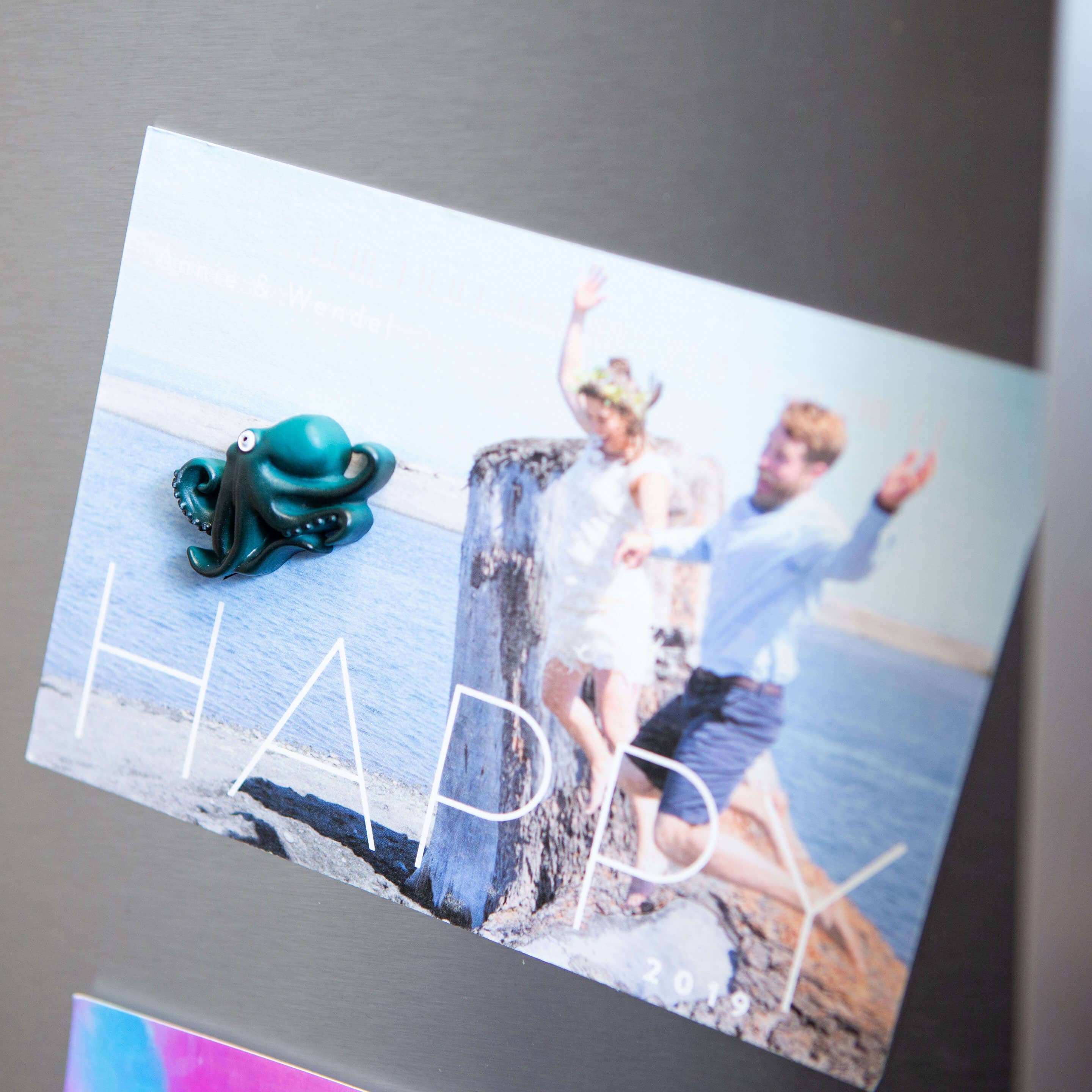 Colorful Octopus Magnets