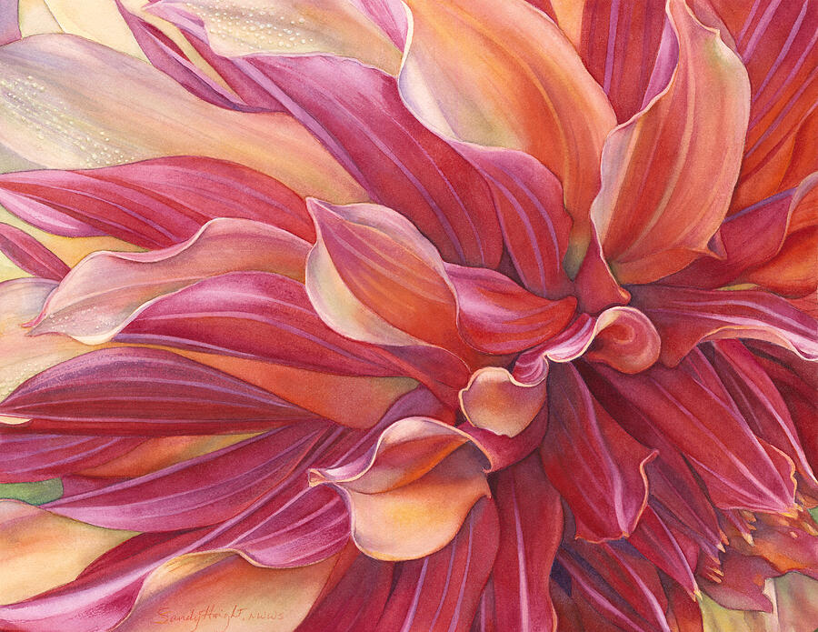 Ablaze 12/250 Print by Sandy Haight