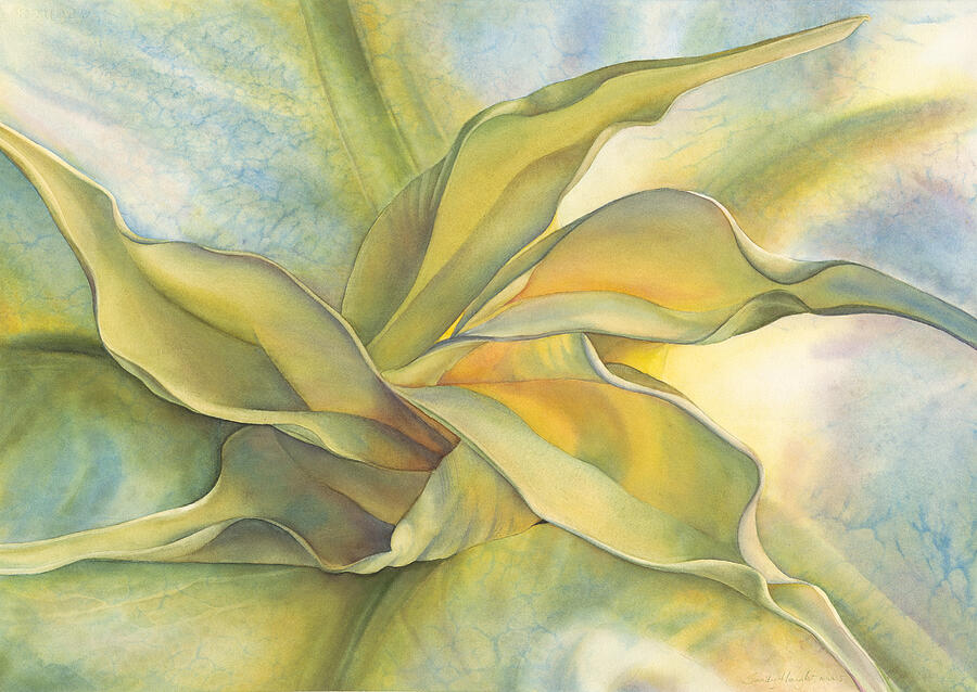 Angel's Pirouette 1/100 Print by Sandy Haight