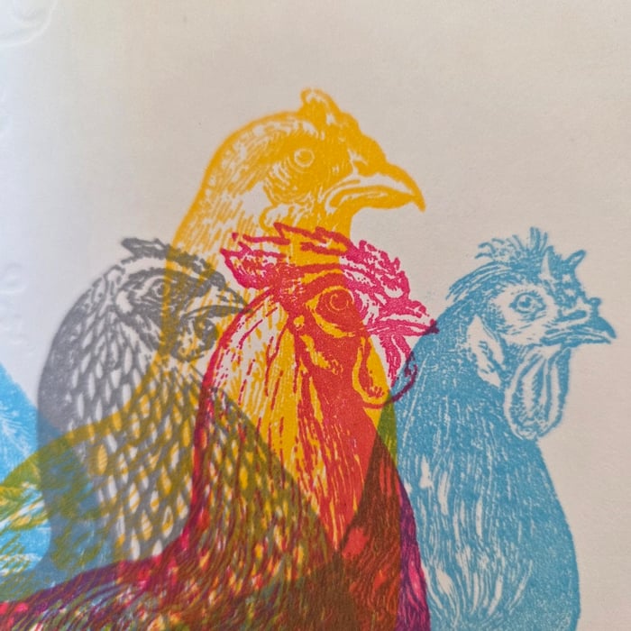 Apis - Gallus Print