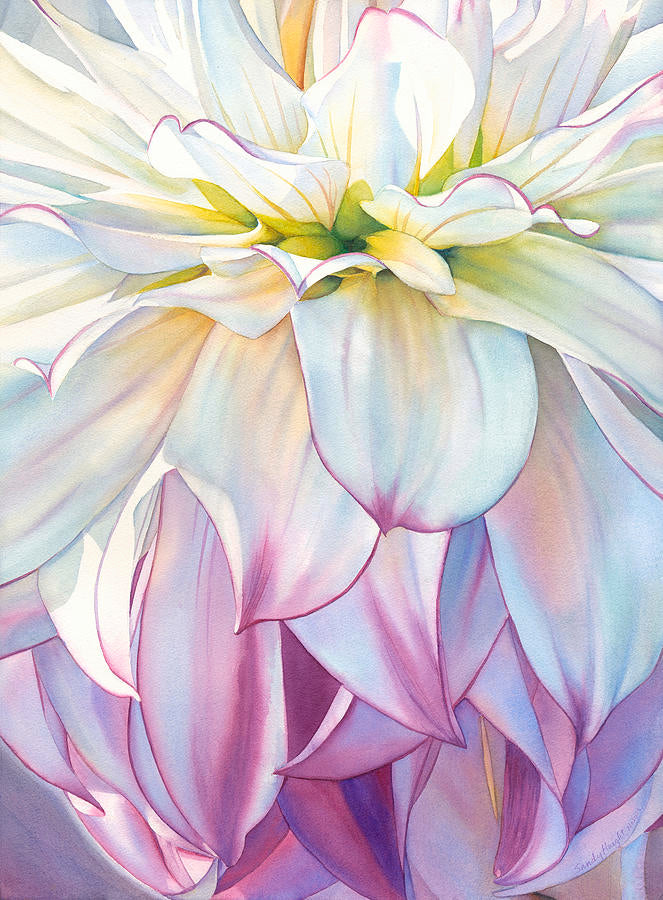 Aria 3/100 Print by Sandy Haight