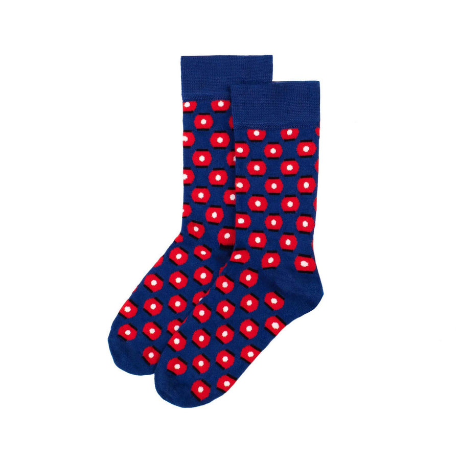 Lanterns Art Socks