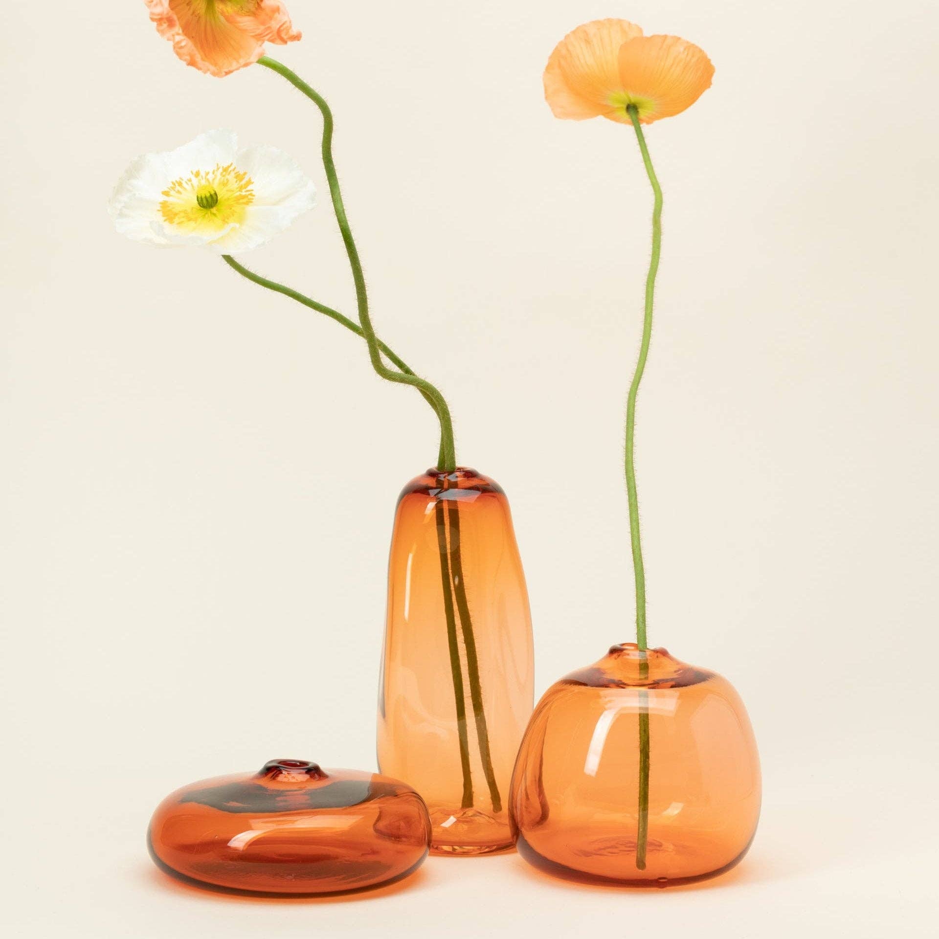 Little Gems: Apricot / Low