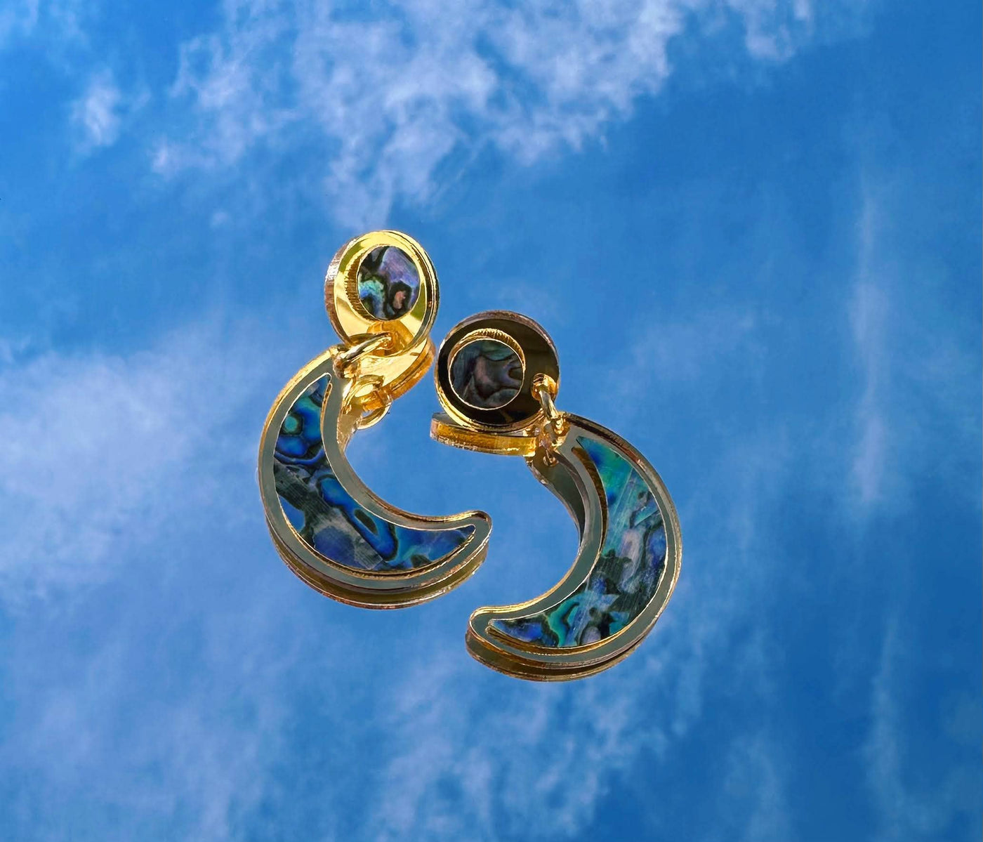 Nuci Earrings: Black / Hook-In
