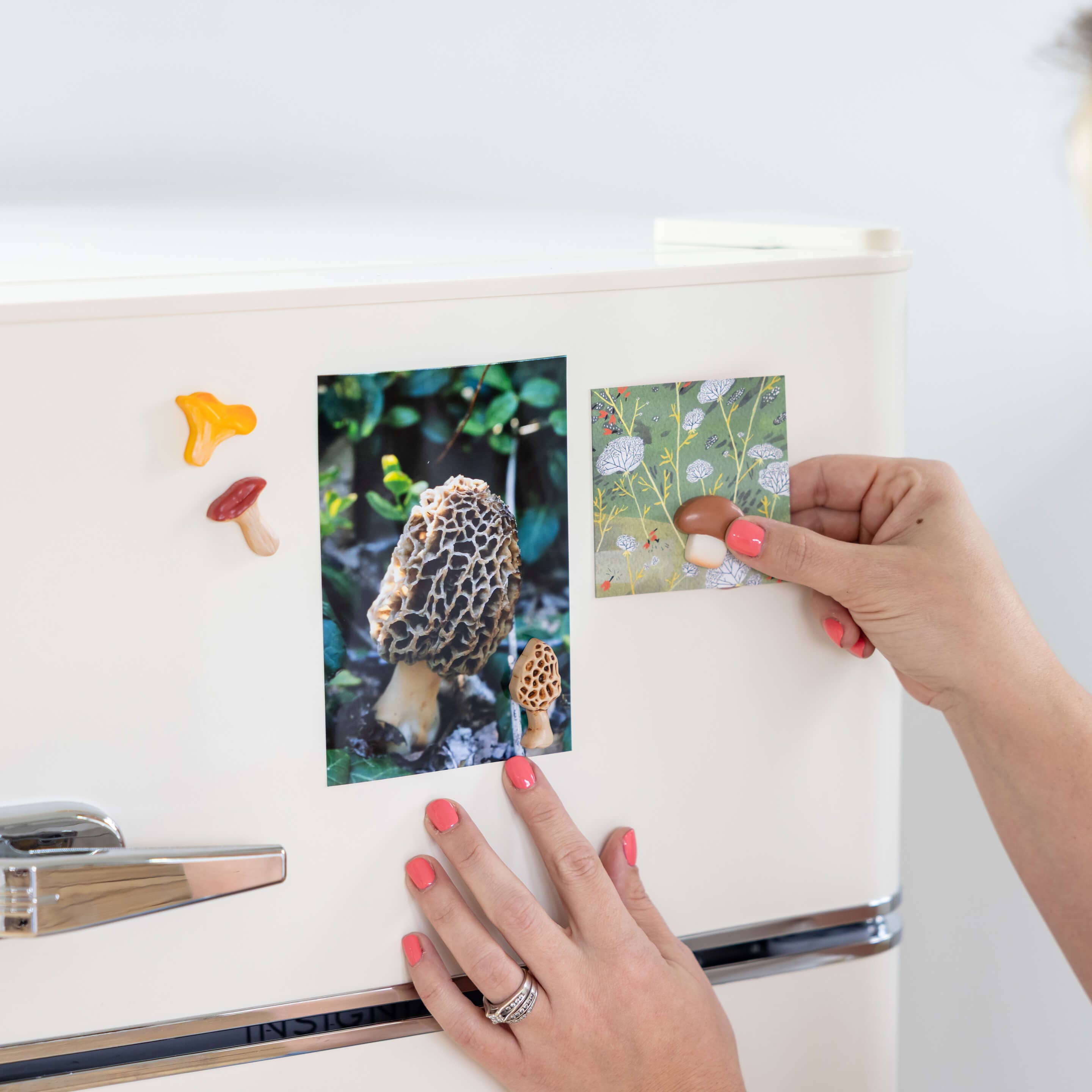Mushroom Magnets