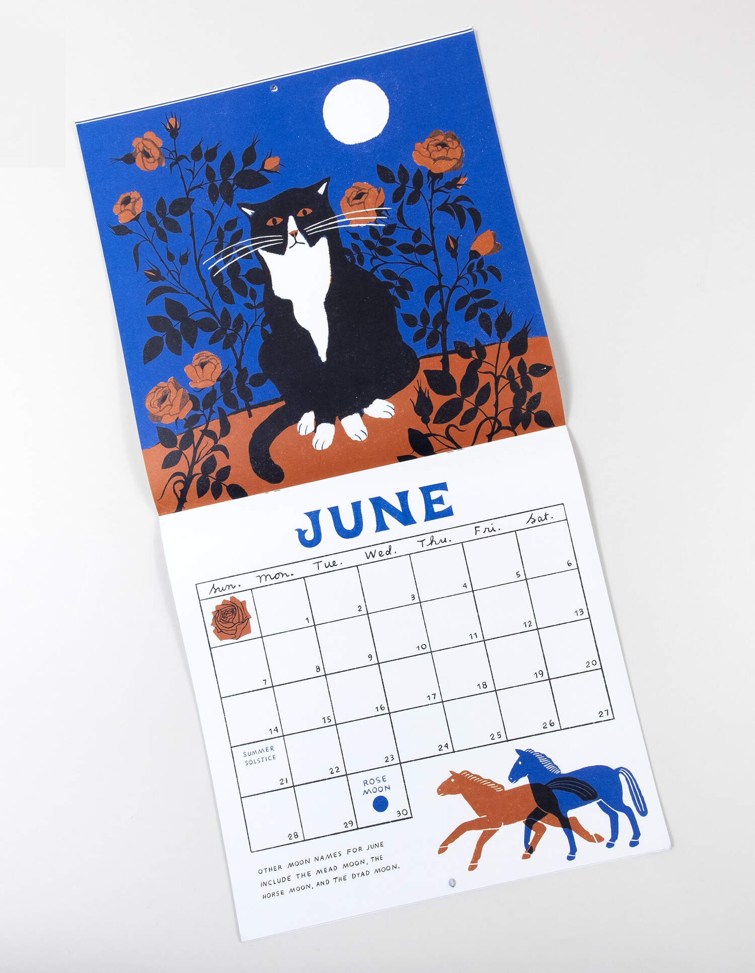 Moon Calendar - 2026 Wall Calendar by Carson Ellis