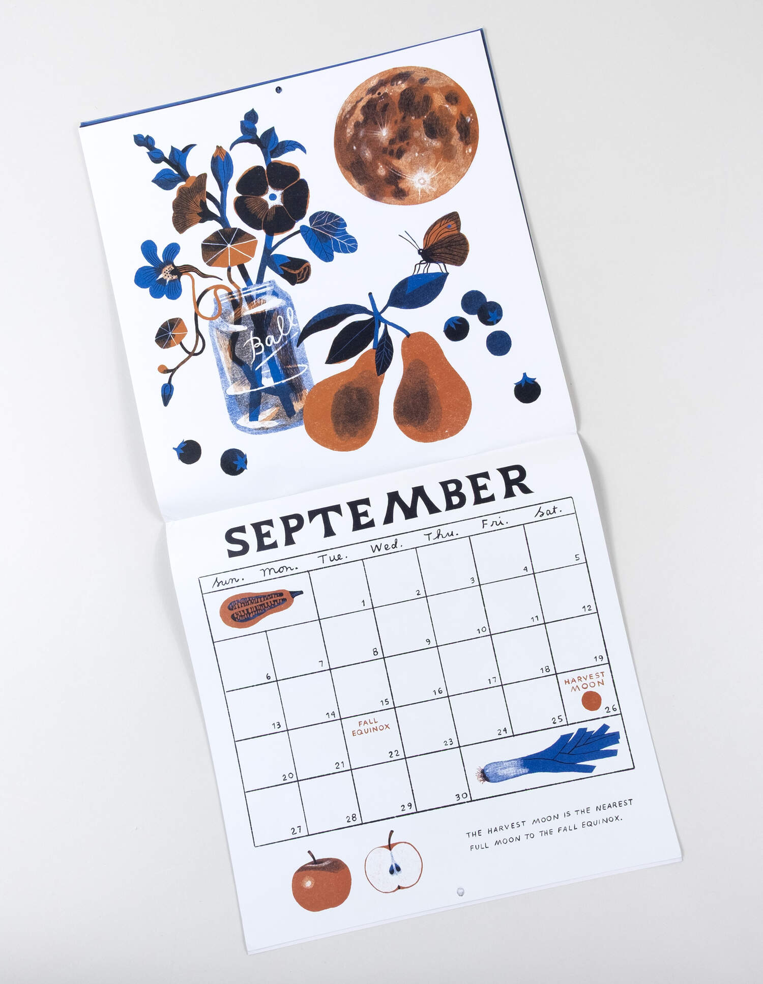 Moon Calendar - 2026 Wall Calendar by Carson Ellis