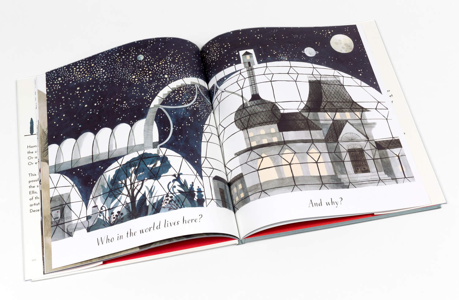 Home by Carson Ellis