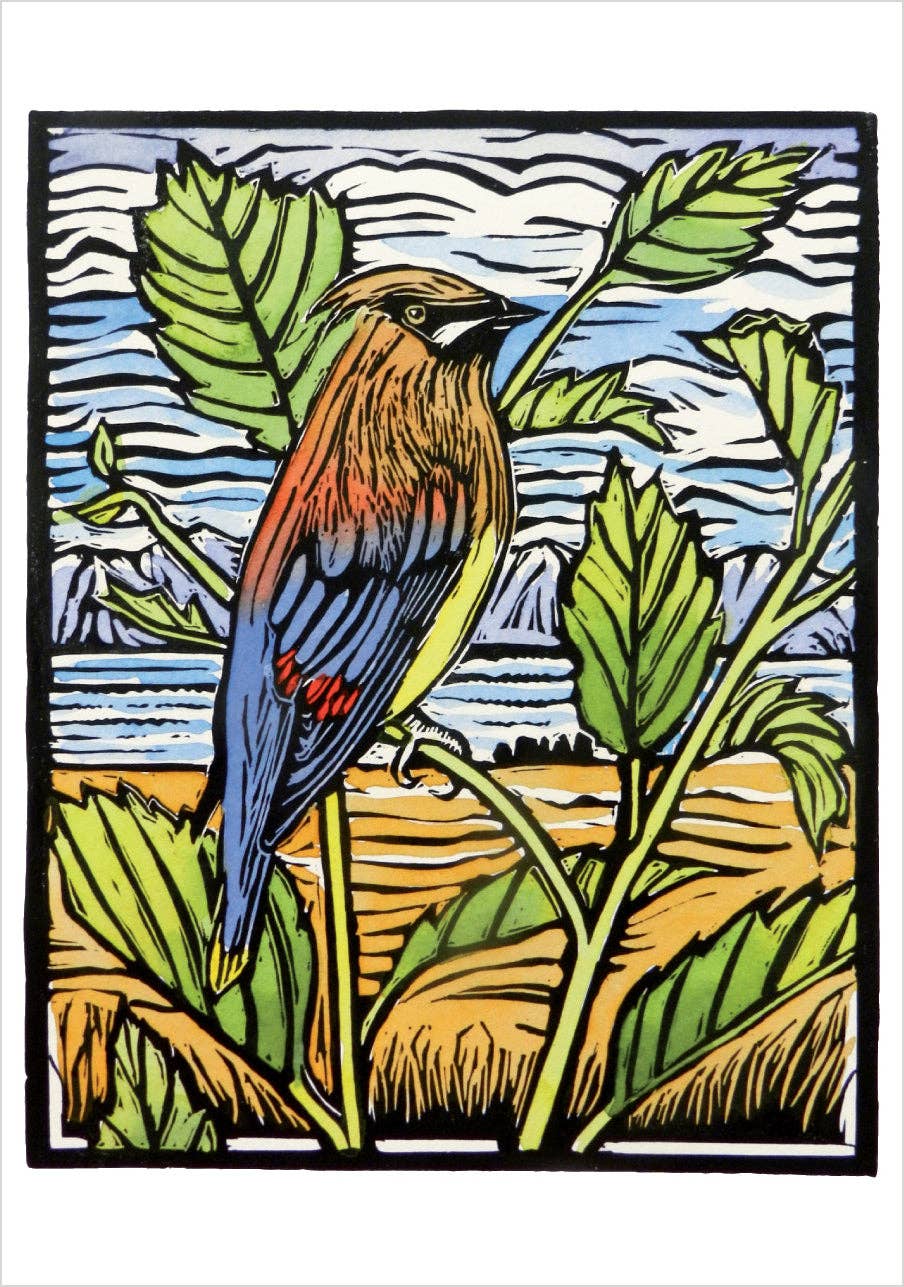 Molly Hashimoto Boxed Notecard Assortment