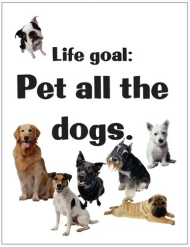 Pet All Dogs Greeting Card