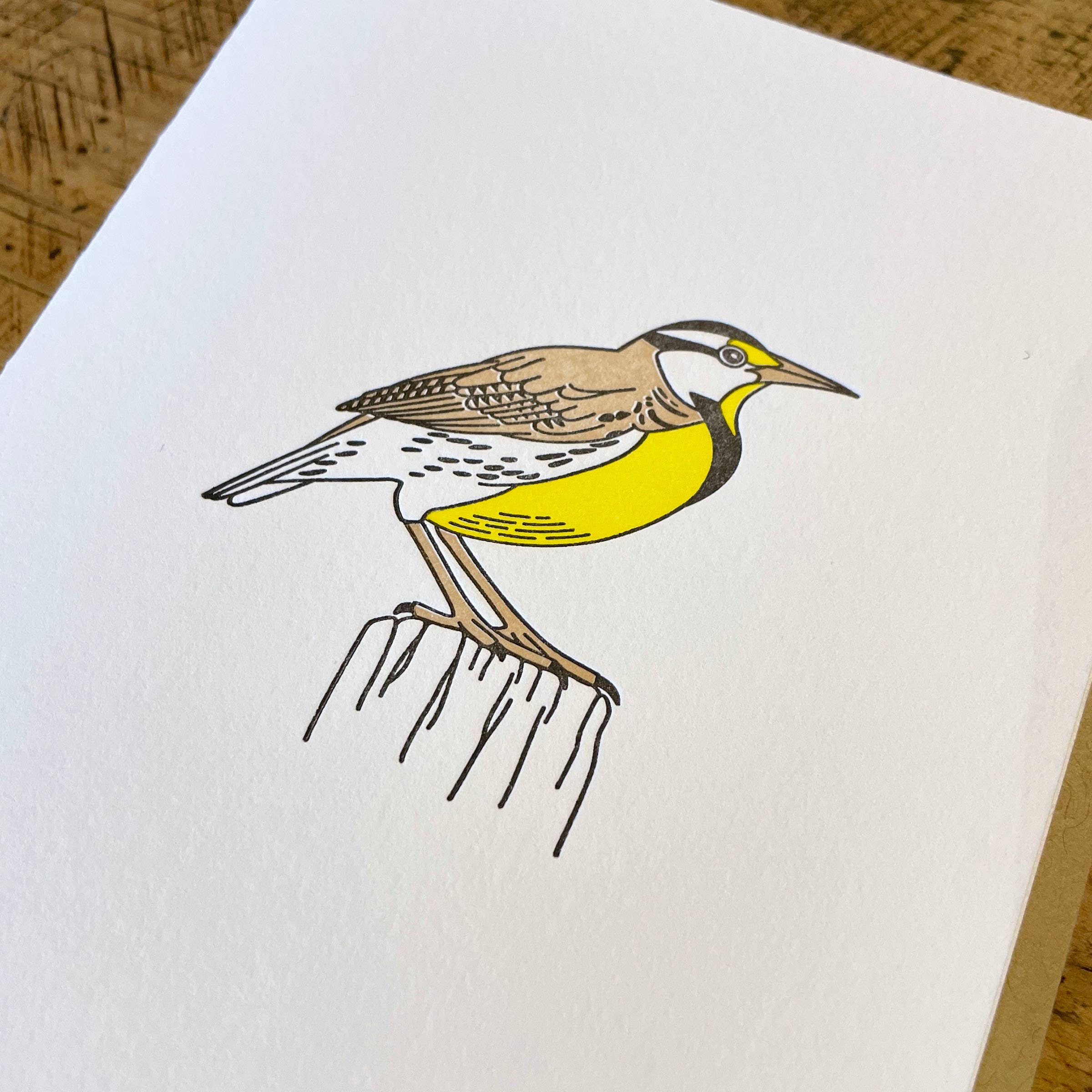 Western Meadowlark Letterpress Card