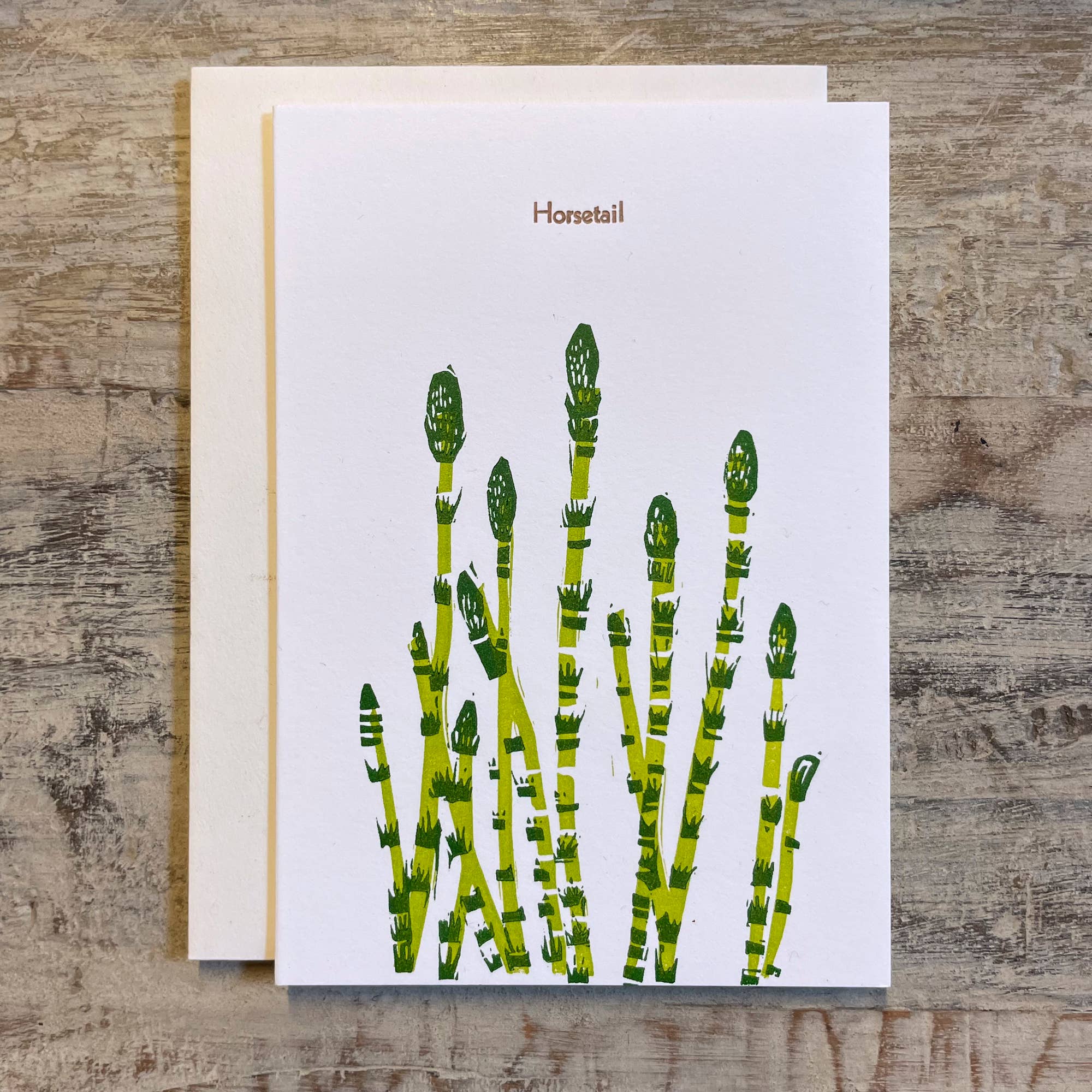 Botanical linocut letterpress blank card Horsetail