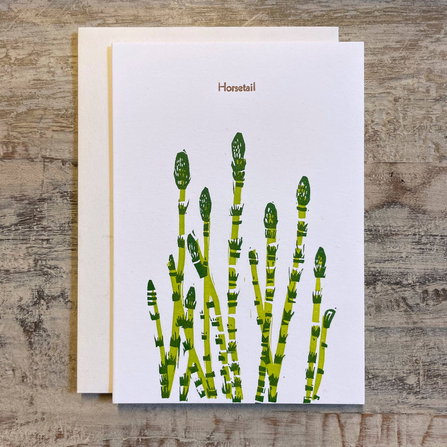 Botanical linocut letterpress blank card Horsetail