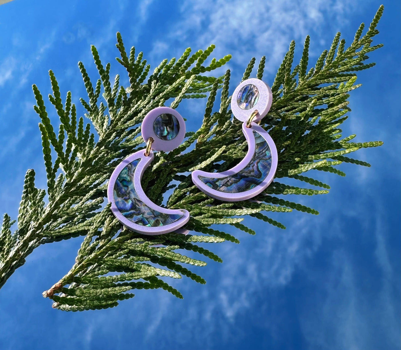 Nuci Earrings: Black / Hook-In