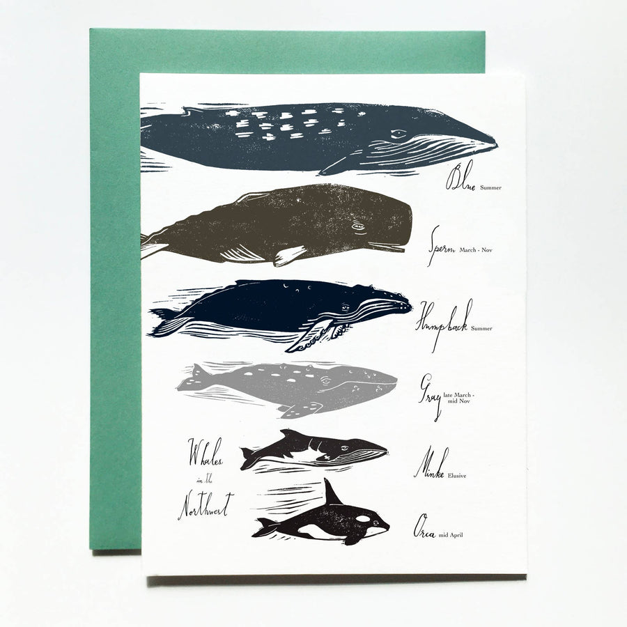 Whales in  the Pacific NW blank greeting card