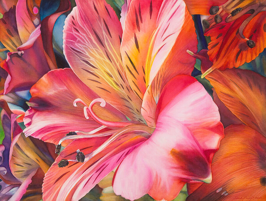 Flamboyance 1/100 Print by Sandy Haight
