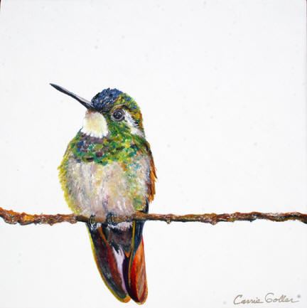 Framed Mini Prints by Carrie Goller