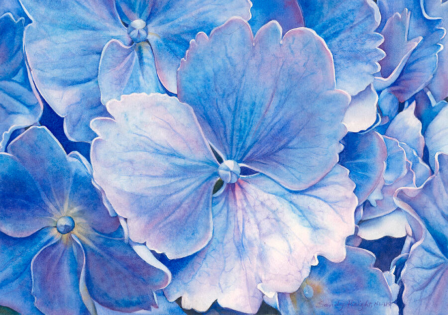 Art Cards by Sandy Haight