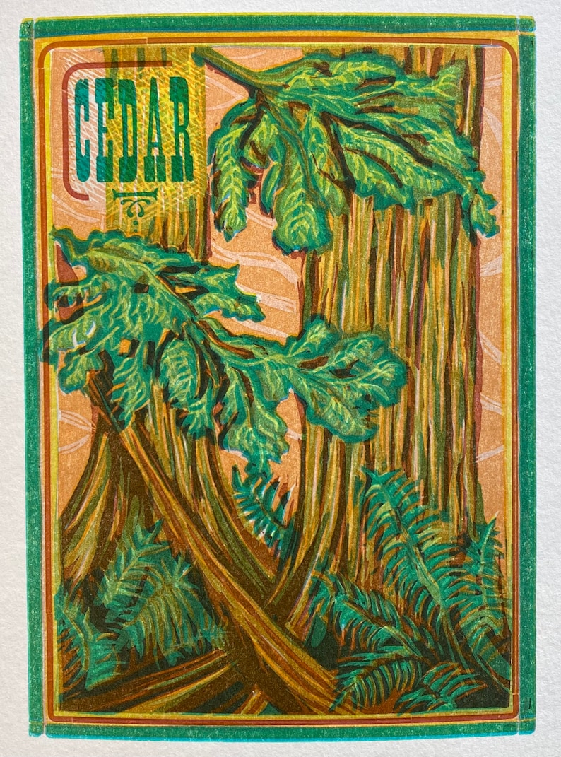 Cedar Print by Kitty Koppelman