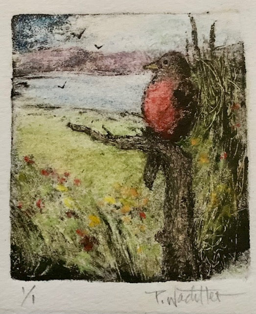 Robin Waiting by Pamela Wachtler