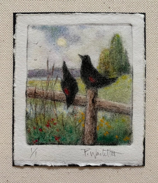Redwings by Pamela Wachtler