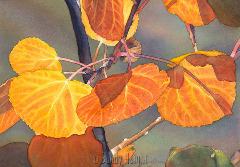 "Mountain Gold" Original Watercolor by Sandy Haight