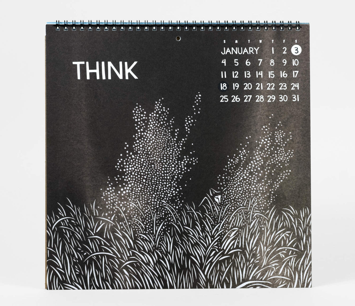 Courage - 2026 Wall Calendar by Nikki McClure