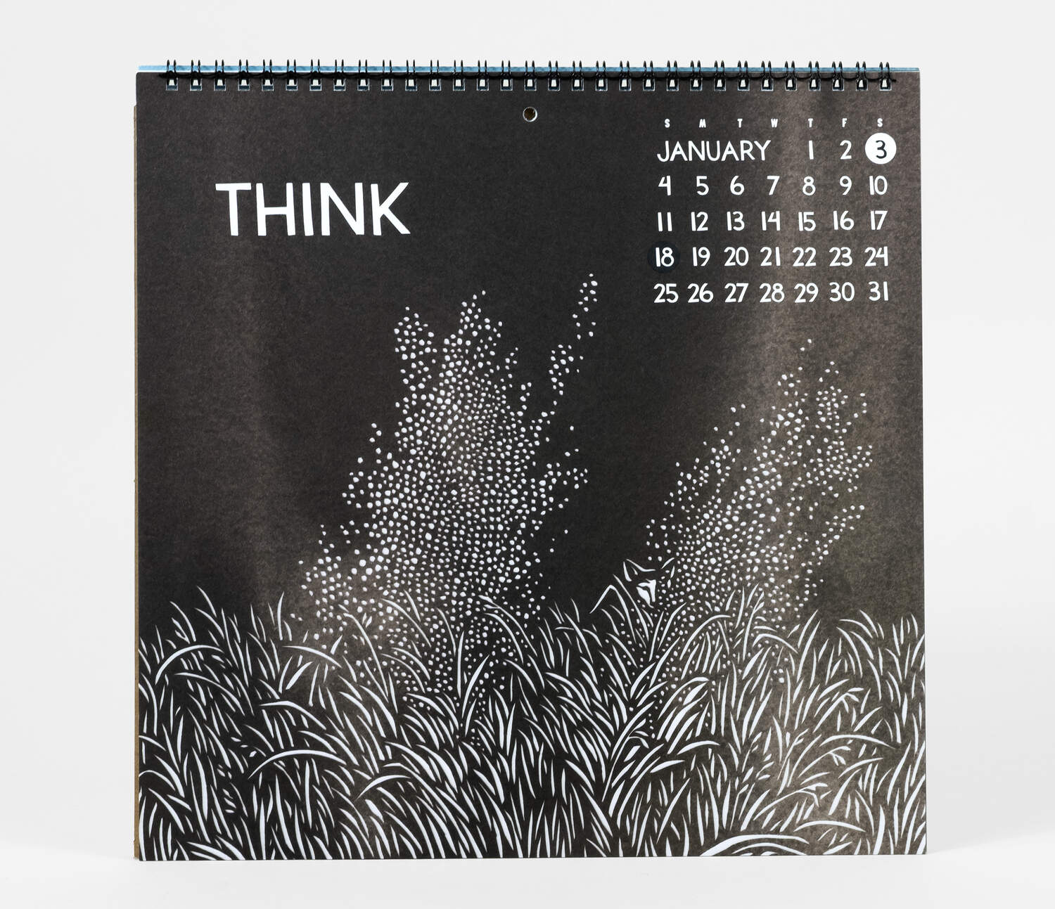 Courage - 2026 Wall Calendar by Nikki McClure