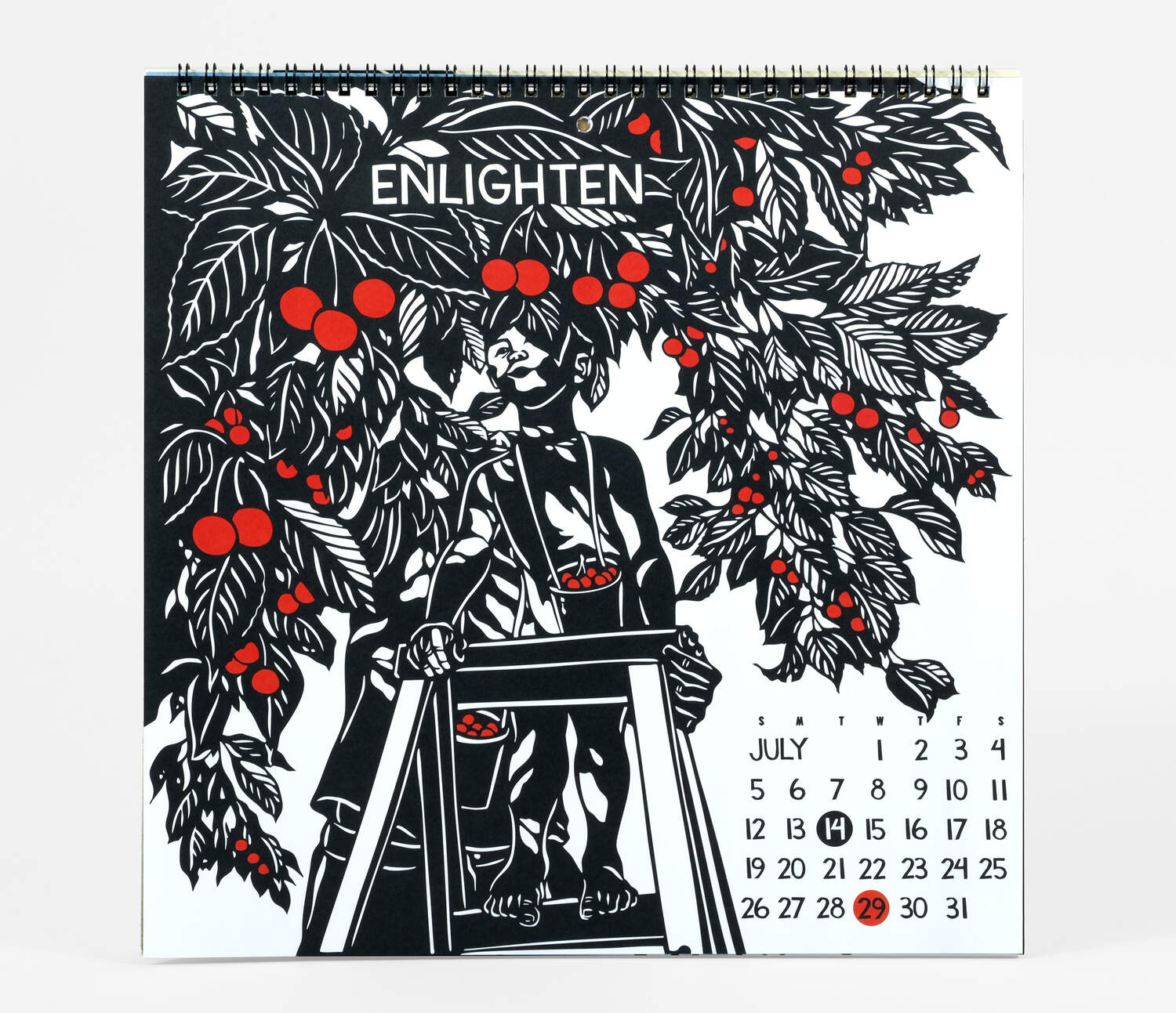 Courage - 2026 Wall Calendar by Nikki McClure