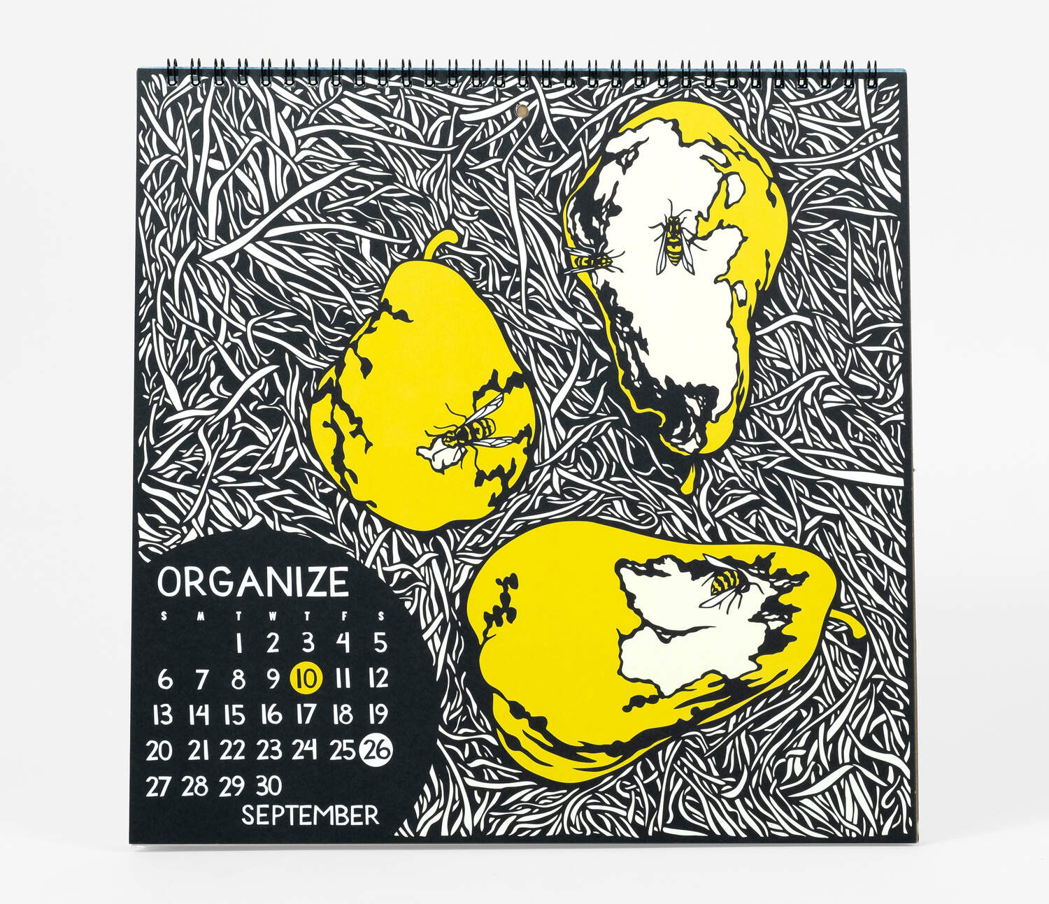 Courage - 2026 Wall Calendar by Nikki McClure