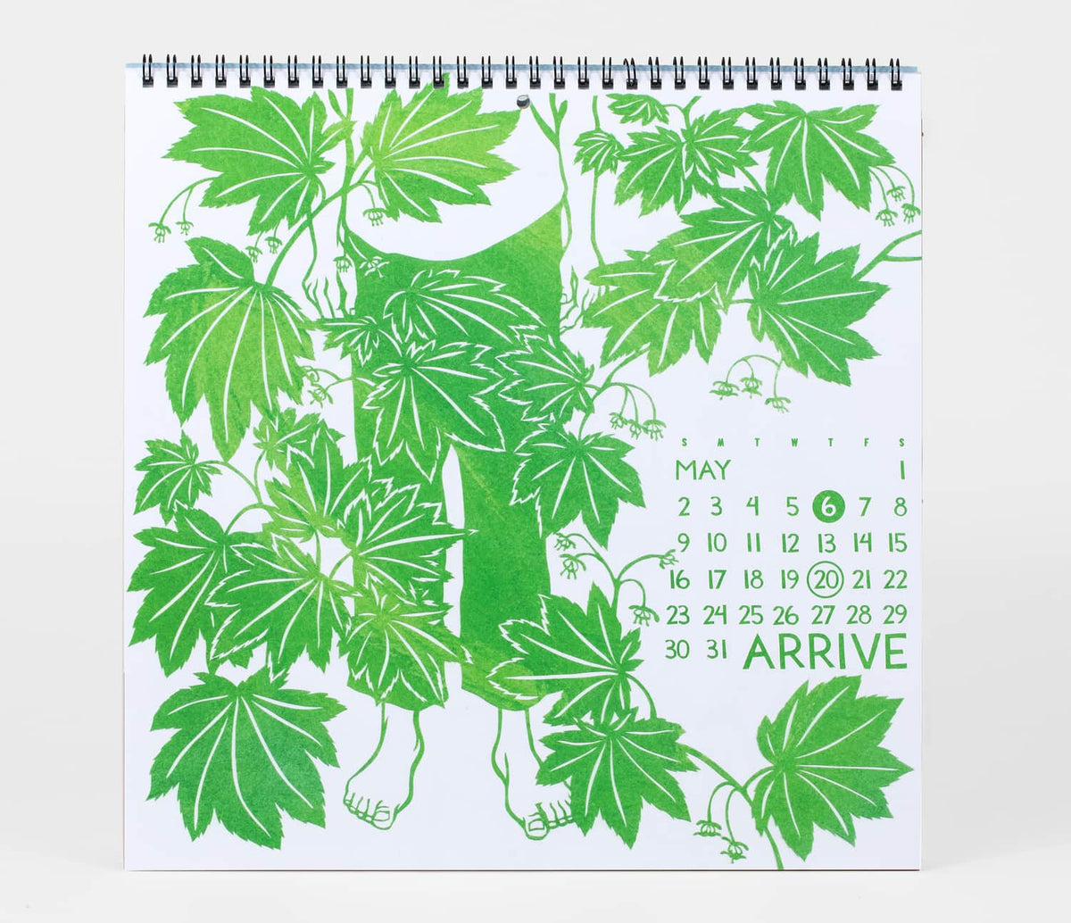 Shall We Begin - 2027 Wall Calendar by Nikki McClure