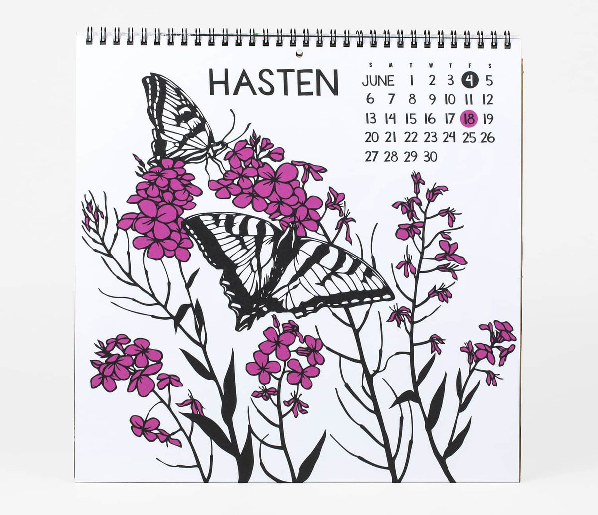 Shall We Begin - 2027 Wall Calendar by Nikki McClure