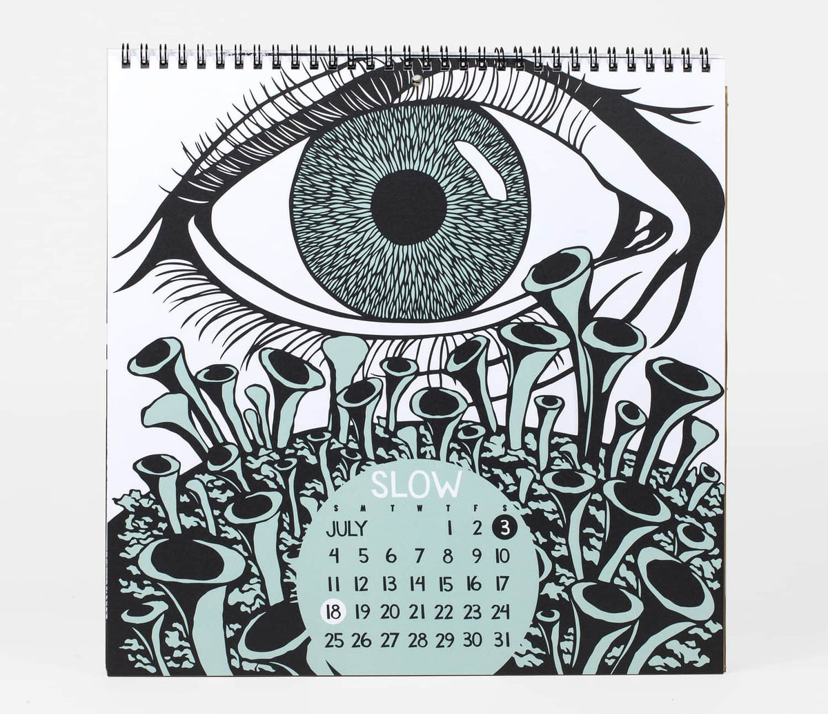 Shall We Begin - 2027 Wall Calendar by Nikki McClure