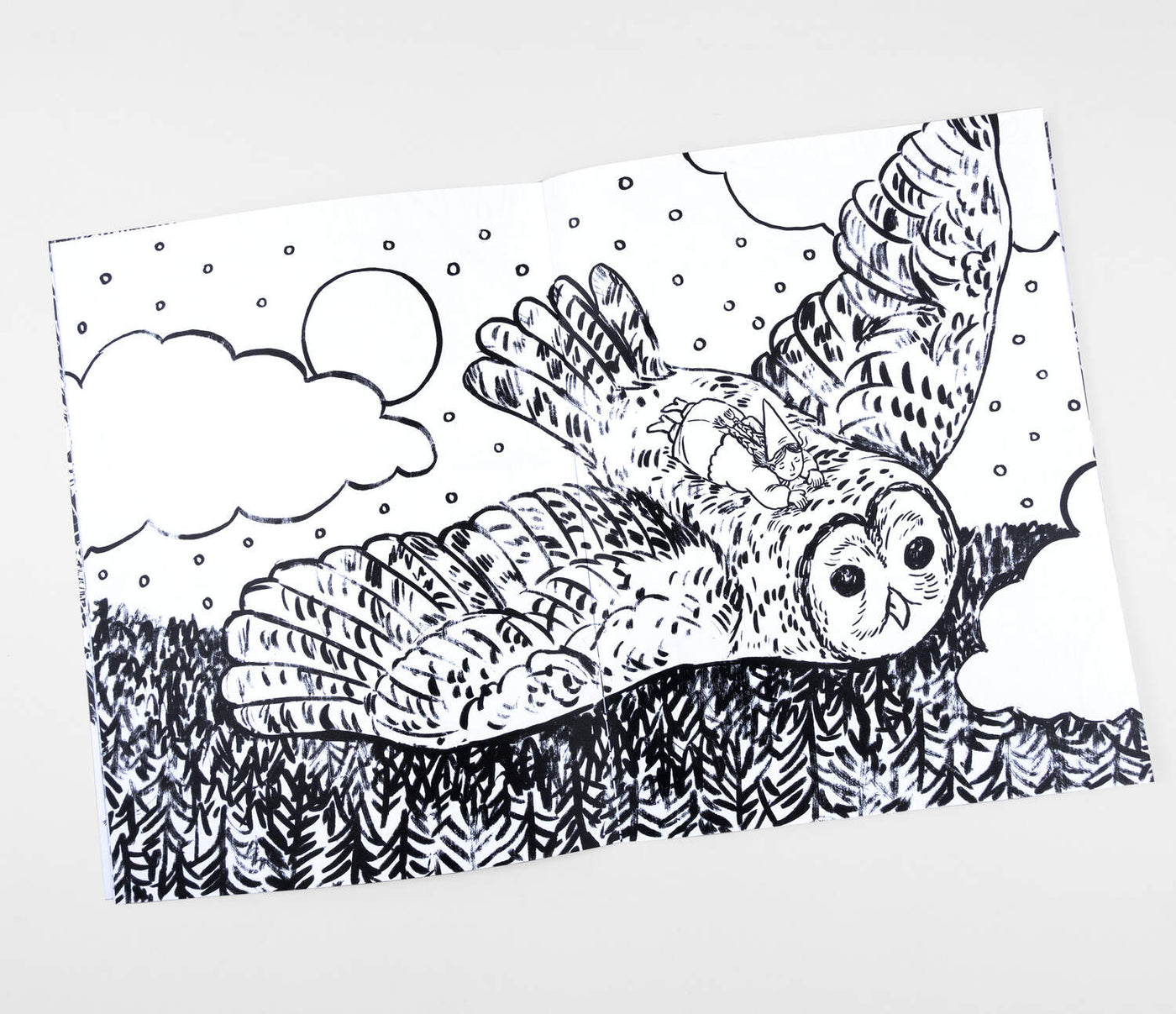 Little Witch Hazel Coloring Book by Phoebe Wahl