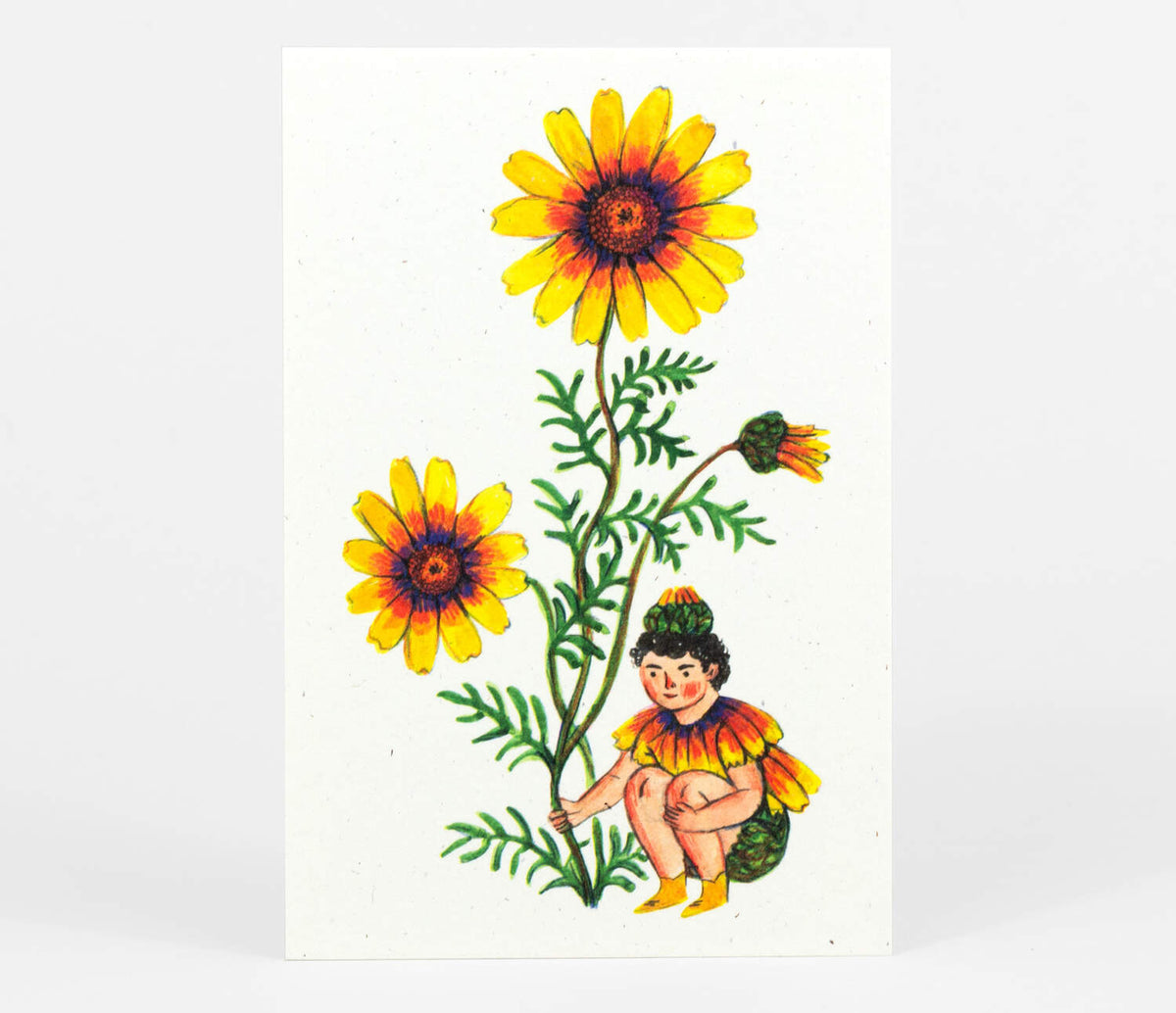 Flower Fairies Postcard Set