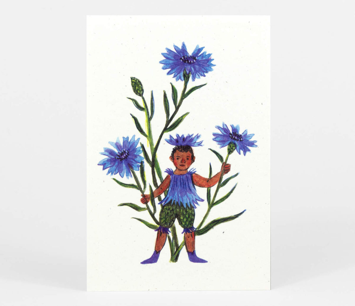 Flower Fairies Postcard Set