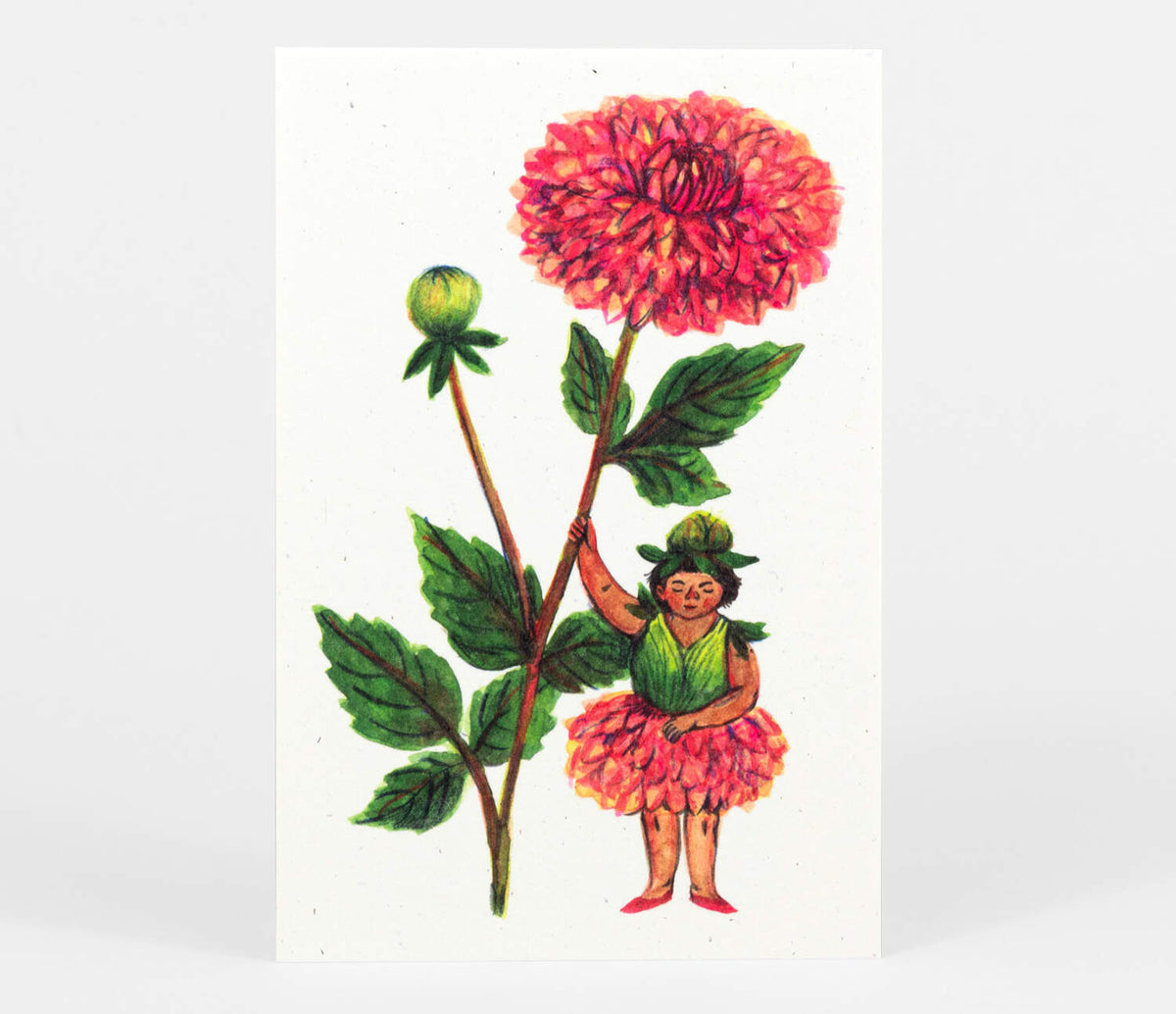 Flower Fairies Postcard Set
