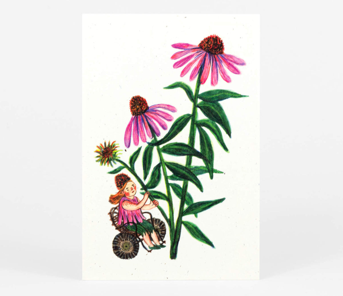 Flower Fairies Postcard Set